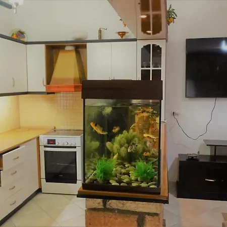 Vila Iliria Guest house 4*